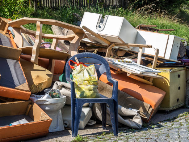 Best Professional Junk Removal  in Whitmire, SC