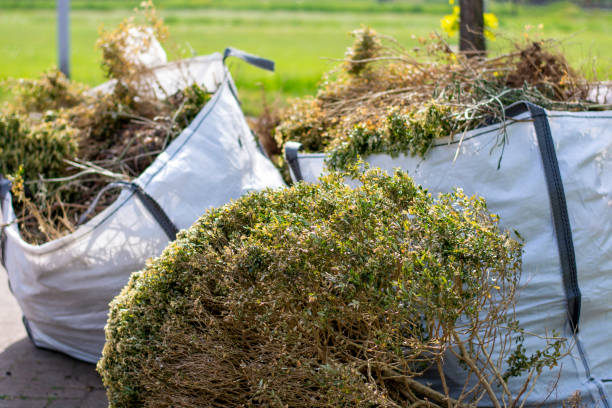 Best Appliance Removal Near Me  in Whitmire, SC