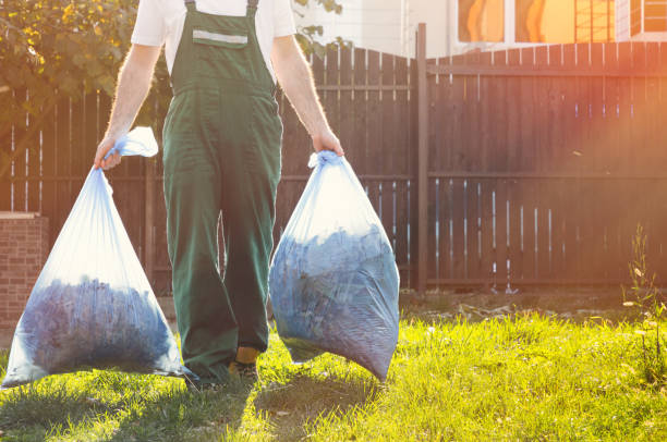 Best Basement Cleanout Services  in Whitmire, SC